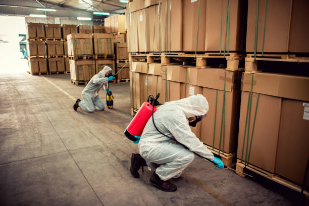Best Pest Removal Services  in Wilton Manors, FL