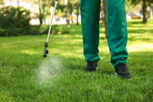 Best Bed Bug Extermination  in Wilton Manors, FL