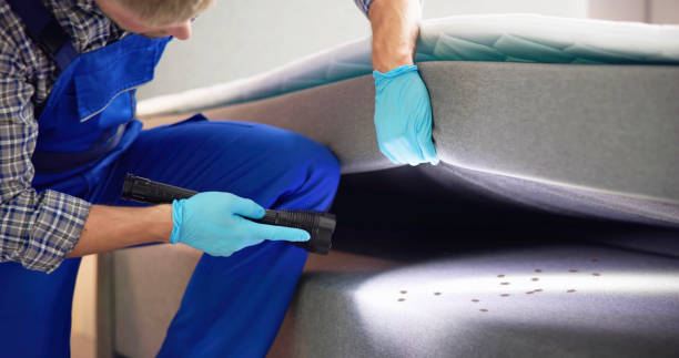Best Pest Control Near Me  in Wilton Manors, FL