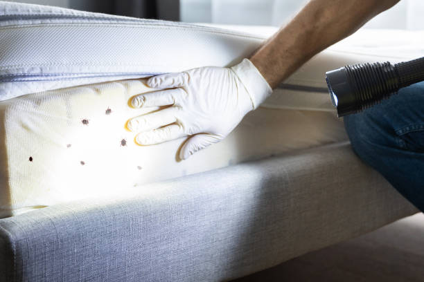 Best Pest Prevention Services  in Wilton Manors, FL